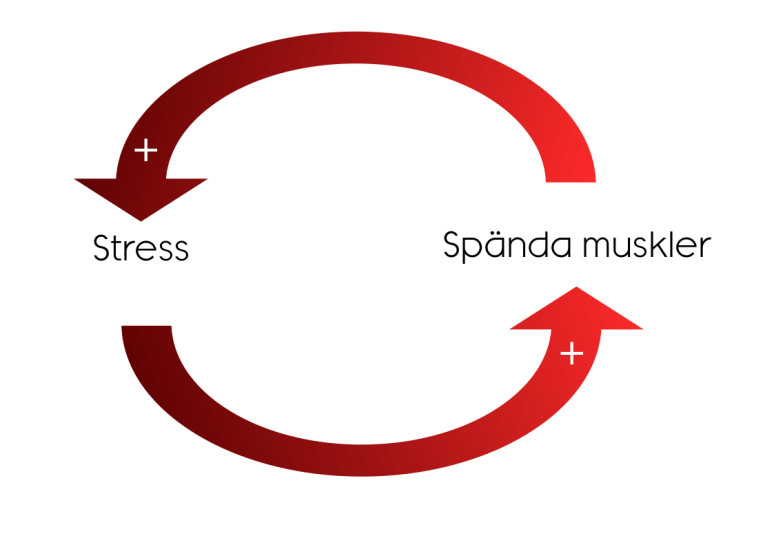 stress spända muskler